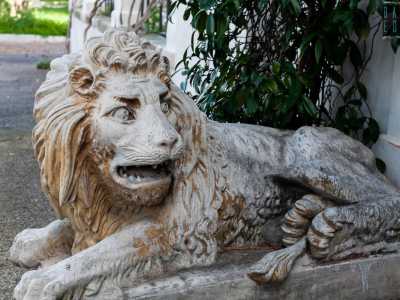 Ridiscendiamo e costeggiamo la villa: vicino a una porta laterale notiamo due antichi leoni in pietra...
